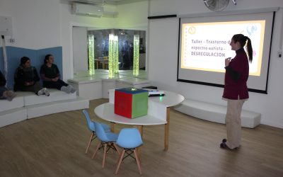TALLER TEA, DESREGULACIÓN Y USO SALA SEM «EDUCADORAS»